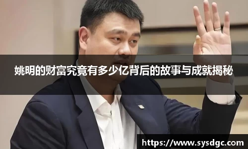 姚明的财富究竟有多少亿背后的故事与成就揭秘